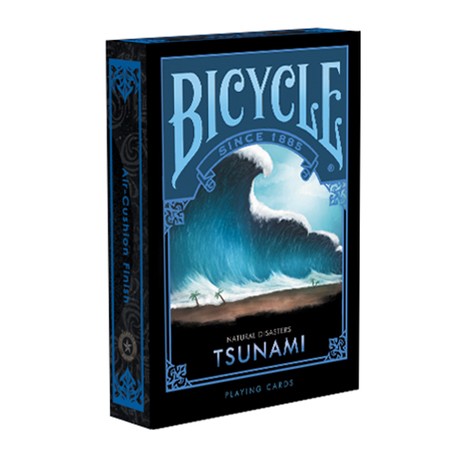 Bicycle Natural Disasters Tsunami