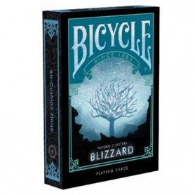 Bicycle Natural Disasters Blizzard