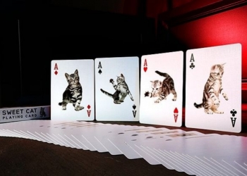 Cat cards: i mazzi di carte dedicati ai gatti!